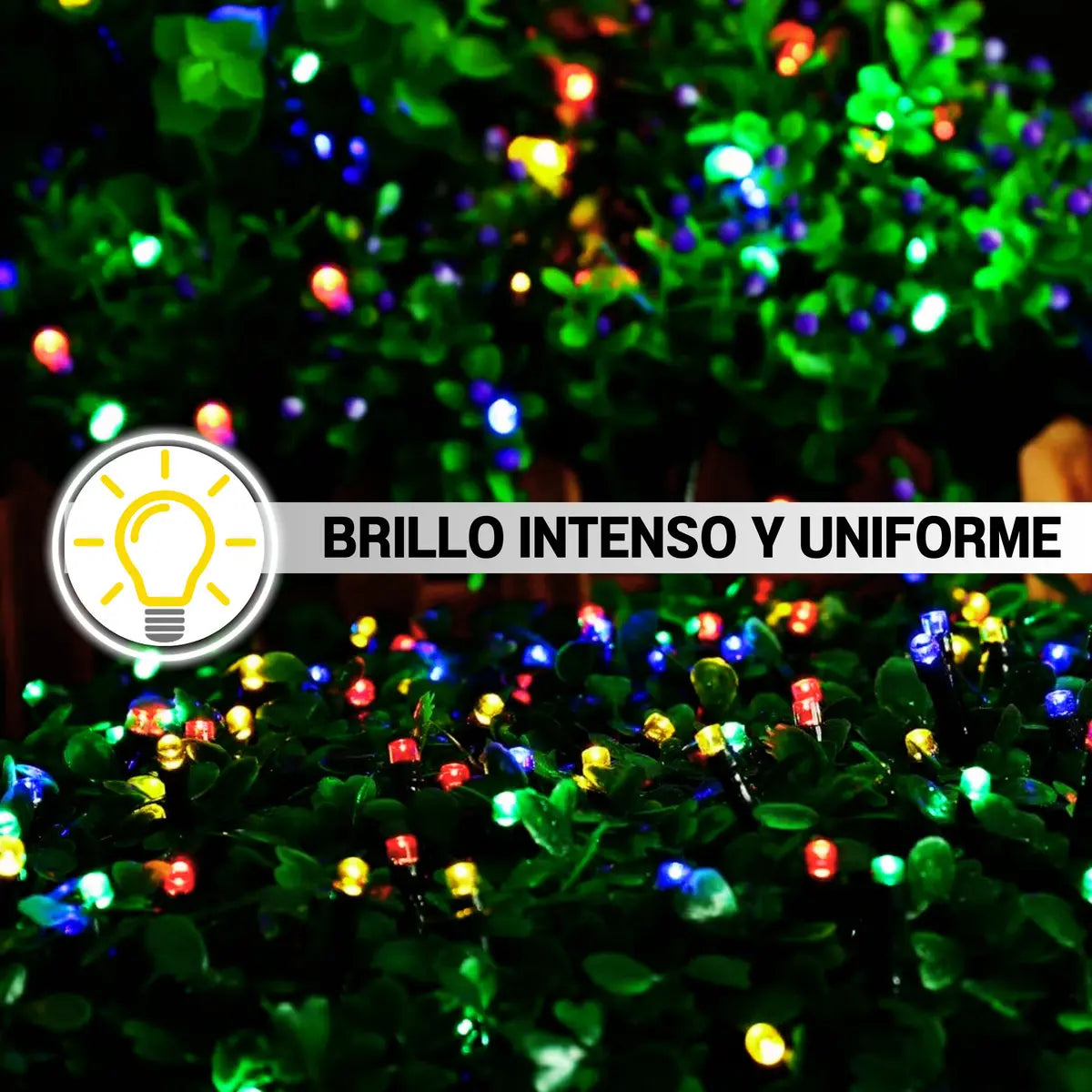 Luces Navidad Solar - 25 Metros